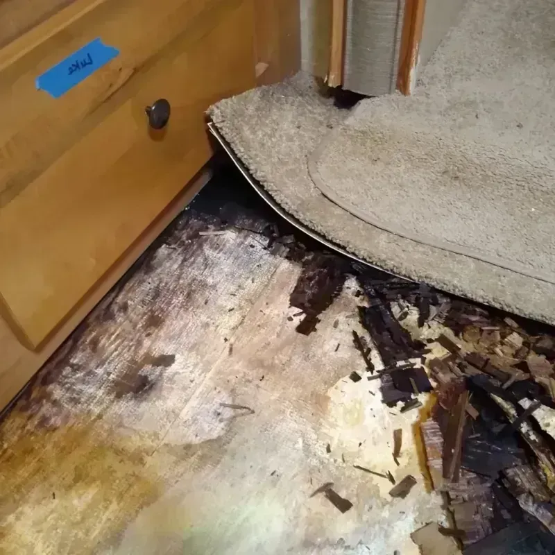 Wood Floor Water Damage in Highpoint, OH